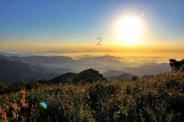 疫苗如何产生免疫保护?浅析疫苗保护性的“细胞免疫机制”